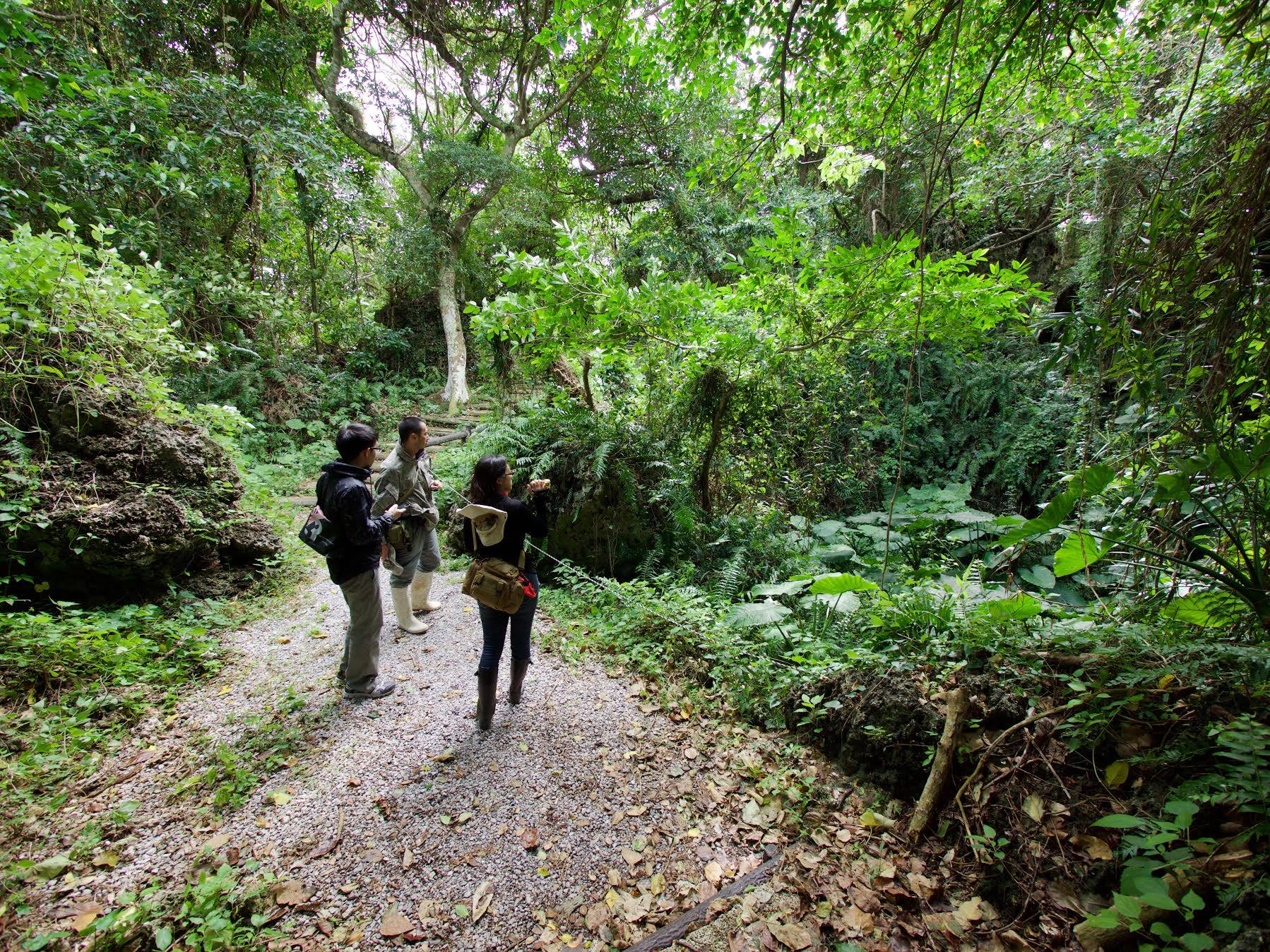 沖縄旅行をもっと楽しむ！島の自然を知る「エコツアー」をあなたが体験するべき3つの理由