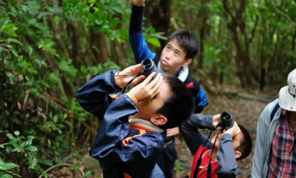 双眼鏡をのぞく参加者の子ども